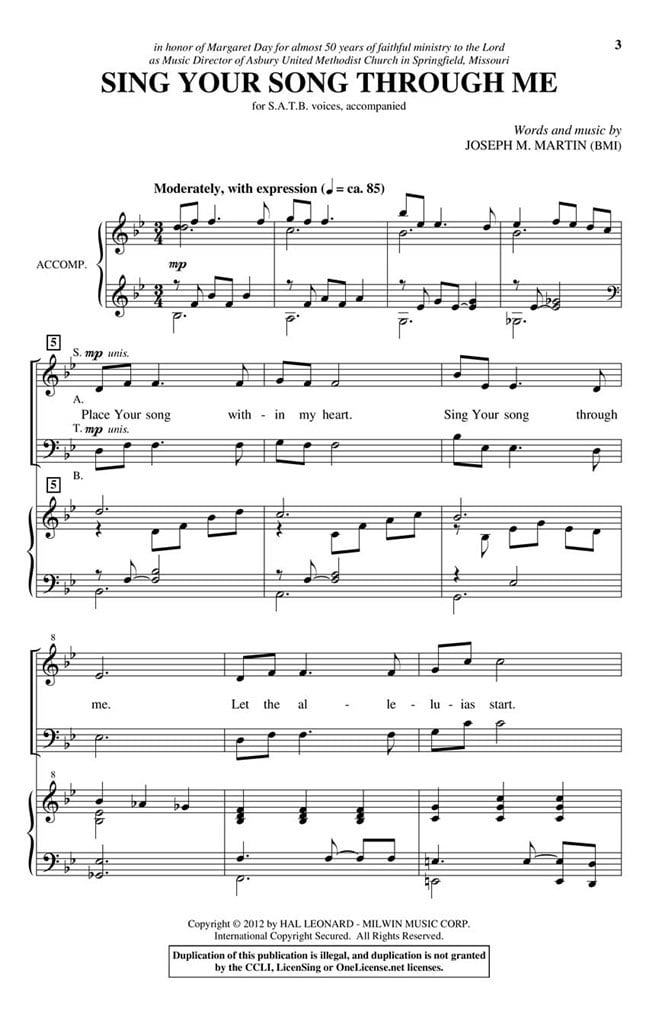 Sing Your Song Through Me